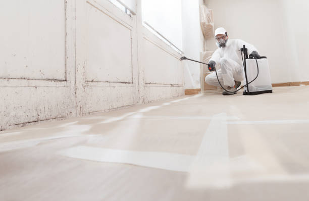24/7 Emergency Mold Remediation experts in West Decatur, PA