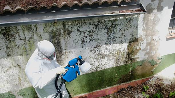 Top rated local Mold Remediation specialists in West Decatur, PA